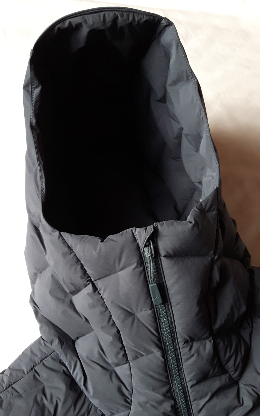 The front of the hood